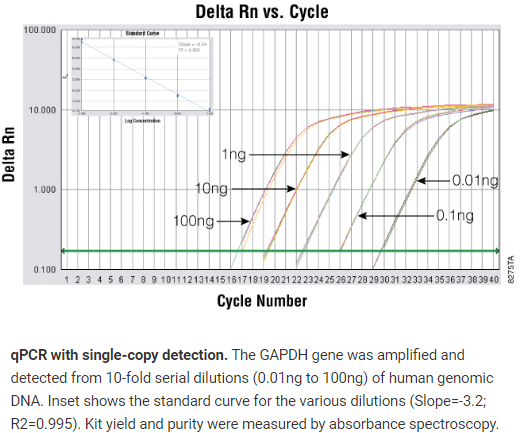 Promega GoTaq&trade; qPCR 预混液概述