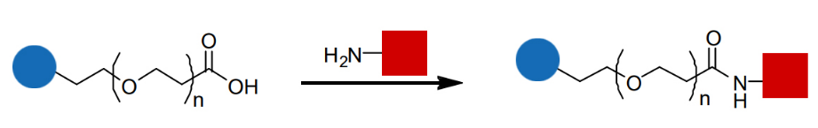 氨基 PEG 的酰胺偶联方案