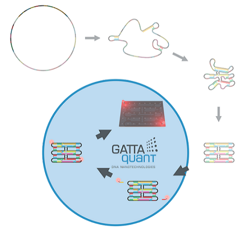 gattaquant：DNA ORIGAMI技术说明