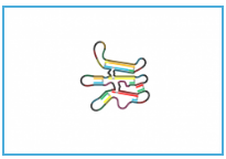gattaquant：DNA ORIGAMI技术说明