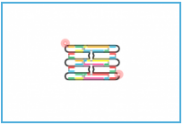 gattaquant：DNA ORIGAMI技术说明