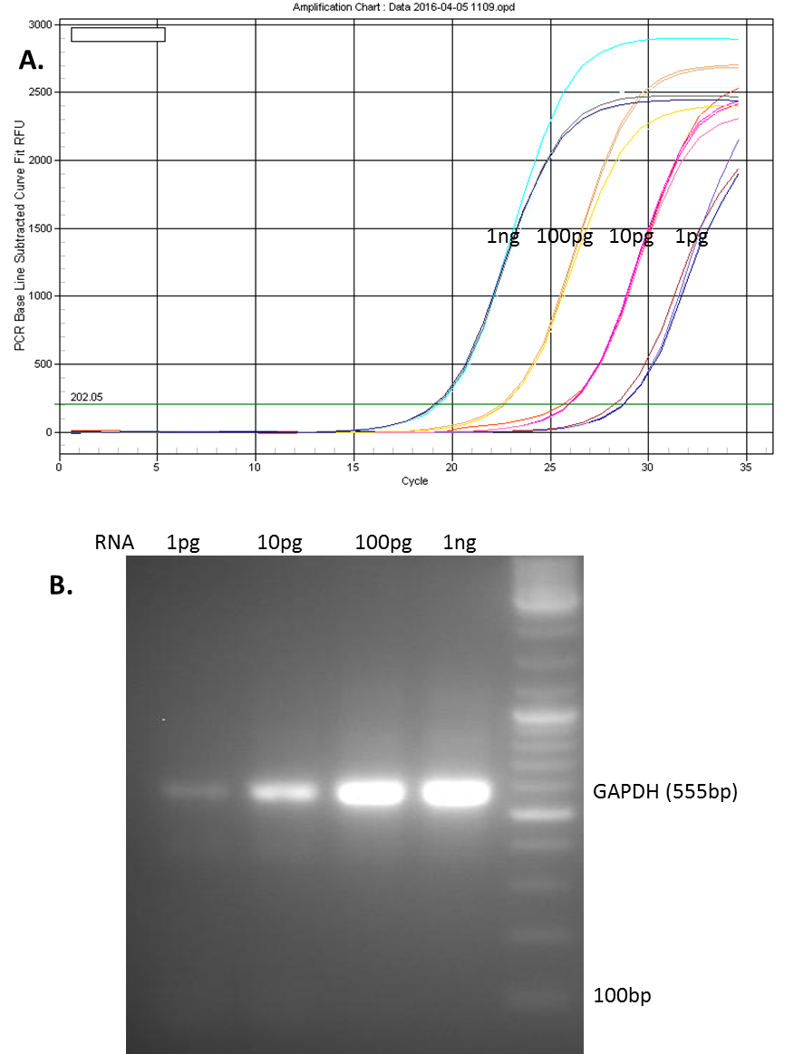 genecopoeia:一体化qPCR混合物(All-in-One&trade; qPCR Mix)简述
