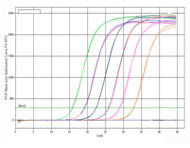 genecopoeia:一体化qPCR混合物(All-in-One&trade; qPCR Mix)简述