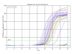 genecopoeia:一体化qPCR混合物(All-in-One&trade; qPCR Mix)简述
