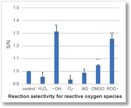 Lipid Peroxidation Probe -BDP 581/591 C11试剂货号：L267