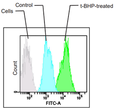 Lipid Peroxidation Probe -BDP 581/591 C11试剂货号：L267