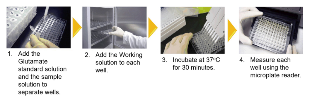 Glutamate Assay Kit-WST试剂盒货号：G269