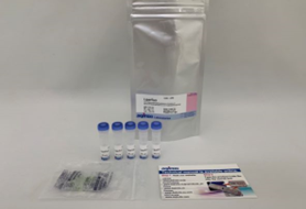 Glutamate Assay Kit-WST试剂盒货号：G269