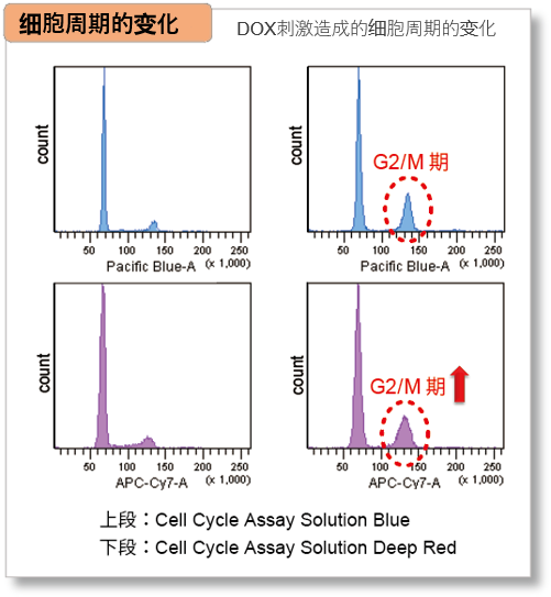 α-Ketoglutarate Assay Kit-Fluorometric货号：K261 α-酮戊二酸(α-KG)检测试剂盒(荧光法)