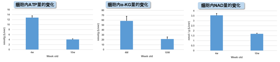 α-Ketoglutarate Assay Kit-Fluorometric货号：K261 α-酮戊二酸(α-KG)检测试剂盒(荧光法)