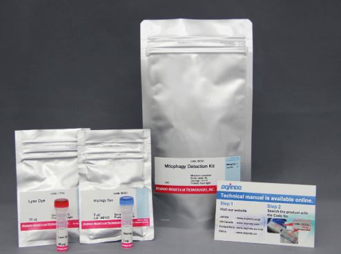 DNA Damage Detection Kit – γH2AX　- Deep Red货号：G267 DNA损伤检测试剂盒- – γH2AX　-深红色