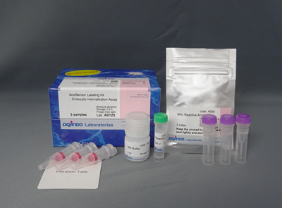 AcidSensor Labeling Kit – Endocytic Internalization Assay 细胞内吞作用的内化过程检测货号：A558