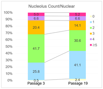 Nucleolus Bright Green试剂货号：N511 核仁荧光染色试剂-绿色