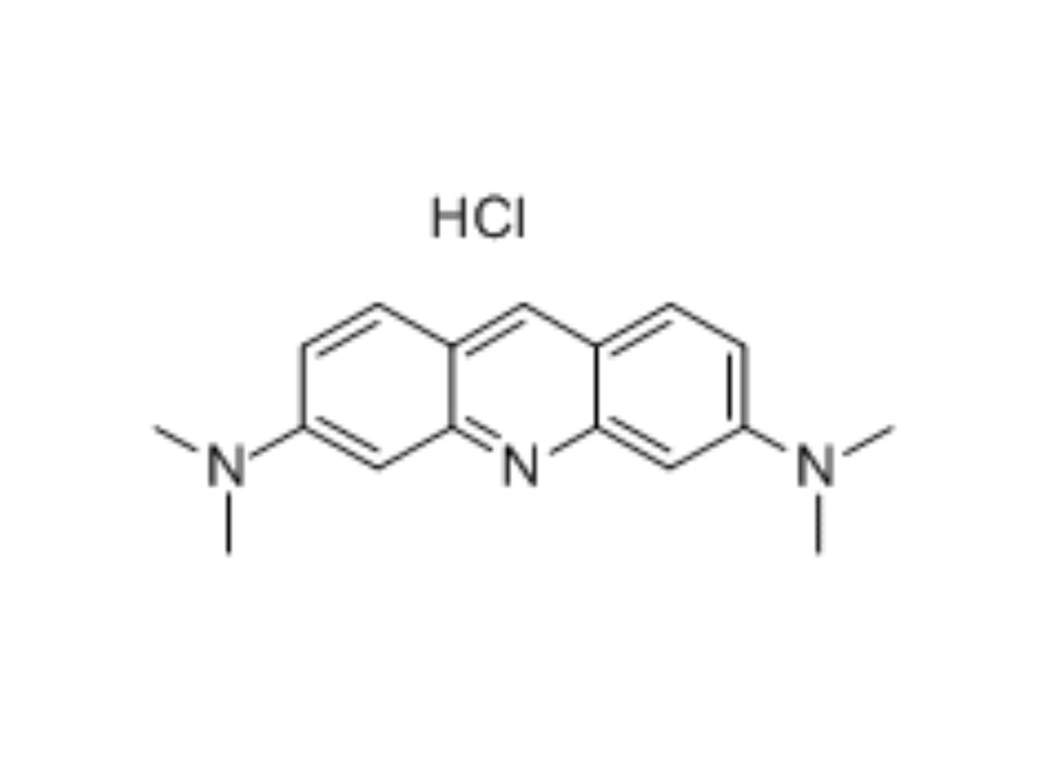 Cellstain- AO solution试剂货号：A430 3,6-Bis(dimethylamino)acridine, hydrochloride, solution CAS号：65-61-2(AO)