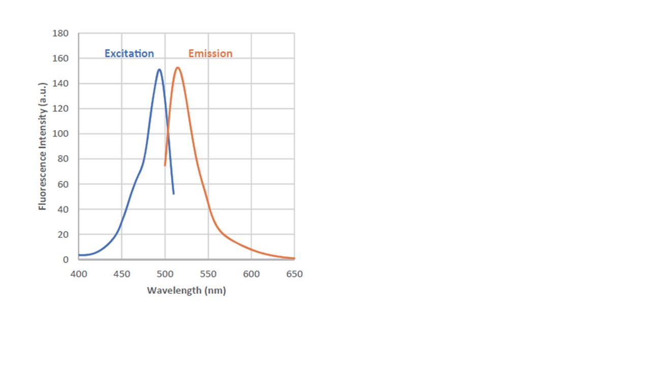 SulfoBiotics- HSip-1试剂货号：SB21 CAS号：1346220-52-7(free base)