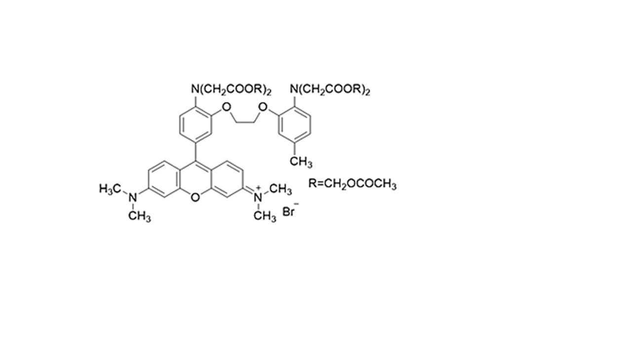 钙离子检测配套试剂货号：10003259 Fluo3/4Fura 2-AM配套试剂 Pluronic F-127试剂&DMSO