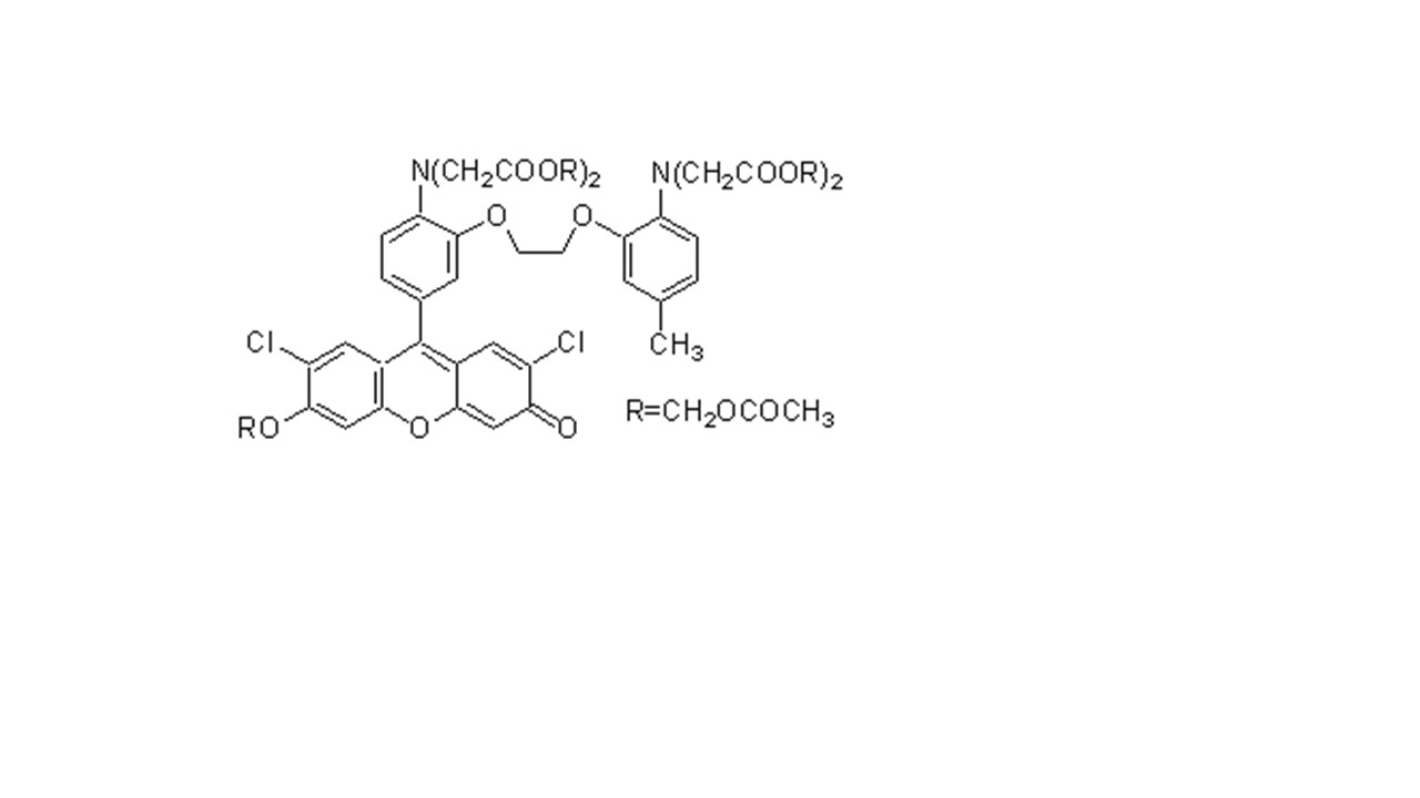 钙离子检测配套试剂货号：10003259 Fluo3/4Fura 2-AM配套试剂 Pluronic F-127试剂&DMSO