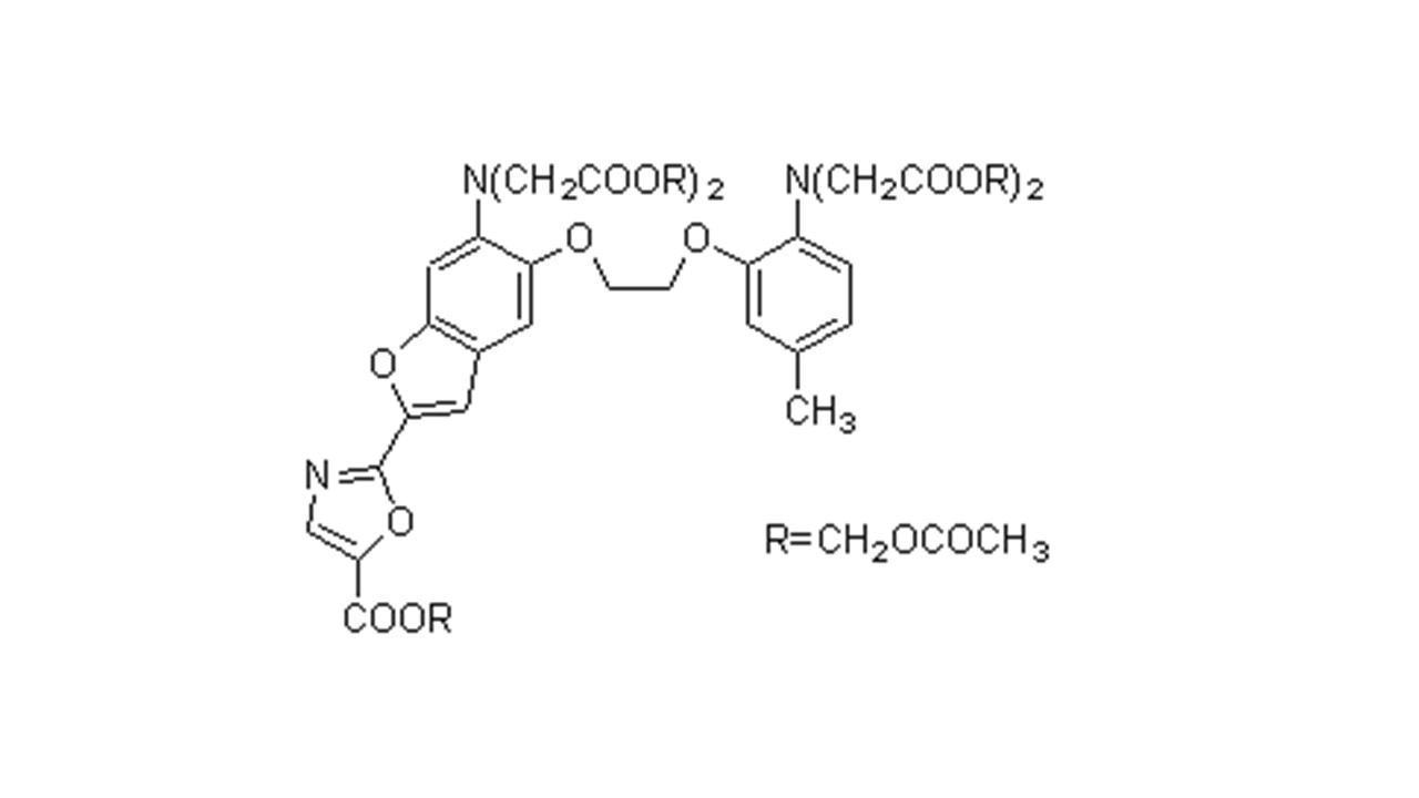 钙离子检测配套试剂货号：10003259 Fluo3/4Fura 2-AM配套试剂 Pluronic F-127试剂&DMSO